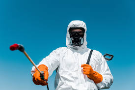 Best Indoor Pest Control  in Patton Village, TX